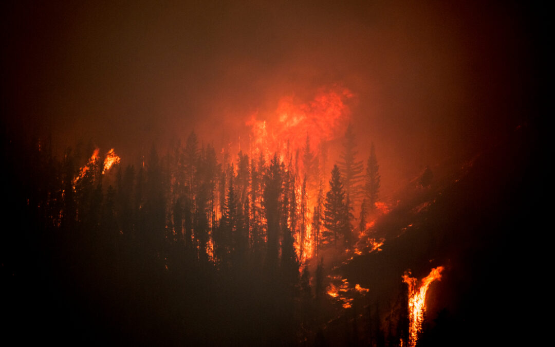 close up photo of mountain wildfire at night